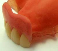 �\�t�g�`���E�_�炩�����ꎕ