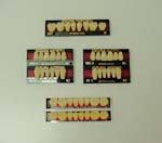 ���ꎕ�̎��E�d�����W���A�Z���~�b�N�̎�